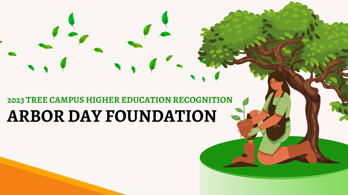 Person cartoon knealing planting trees. Tree behind the person. orange and tan background