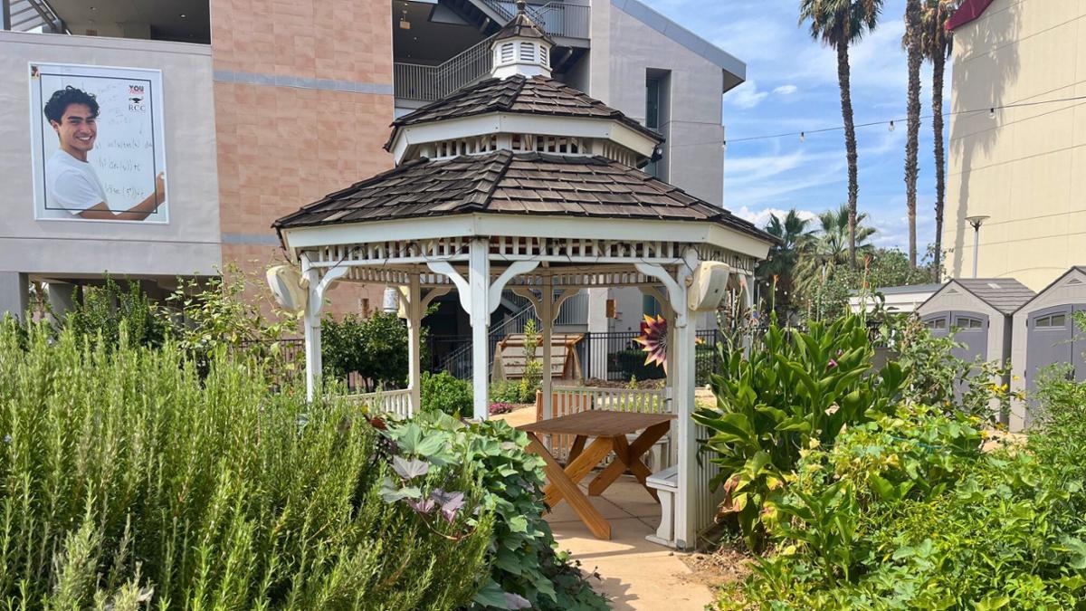 RCC Greenhouse - SPORES lab