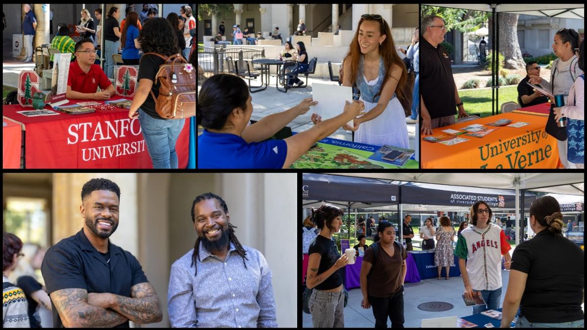 transfer fair pictures