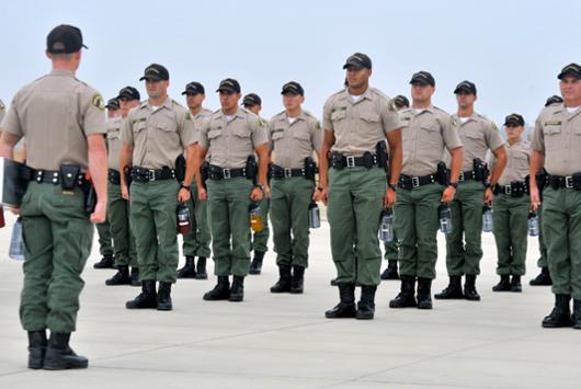 Social and Behavioral Sciences​ 