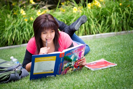 Social and Behavioral Sciences